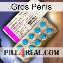 Gros Pénis new07
